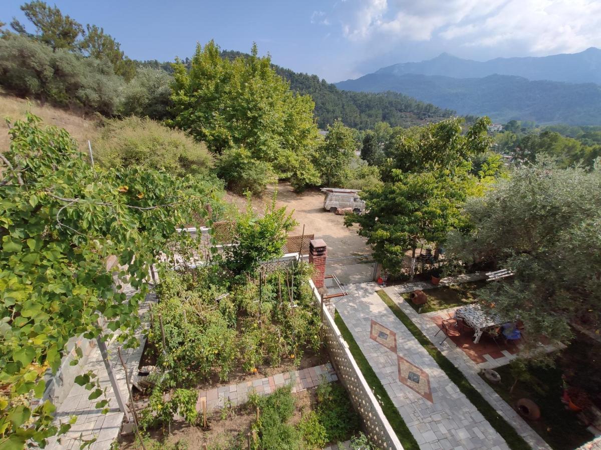 Elpida Apartment Тасос Экстерьер фото